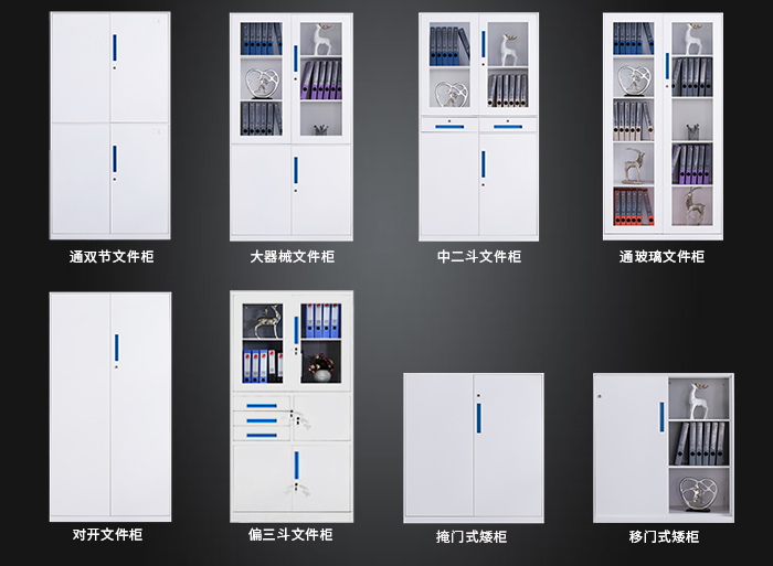 海發(fā)HF-GGLS系列文件柜，鋼制文件柜，辦公文件柜